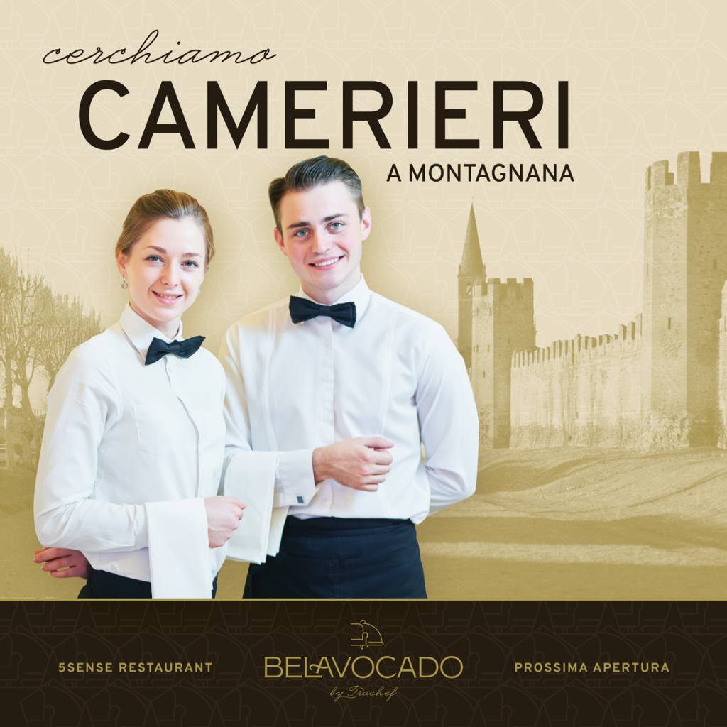Se vuoi lavorare come cameriere al Ristorante Belavocado by Frachef, a Montagnana, scrivimi.