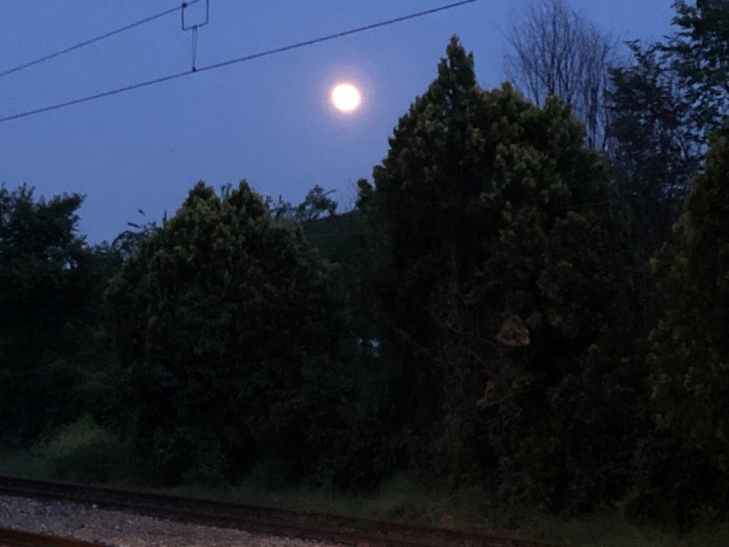 Luna a Montagnana :)